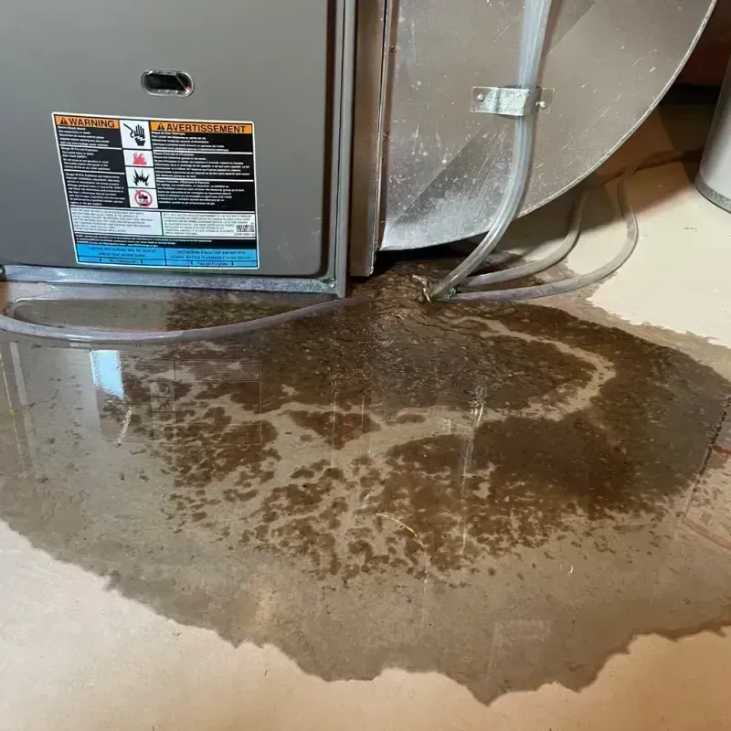 Appliance Leak Cleanup in Fosston, MN